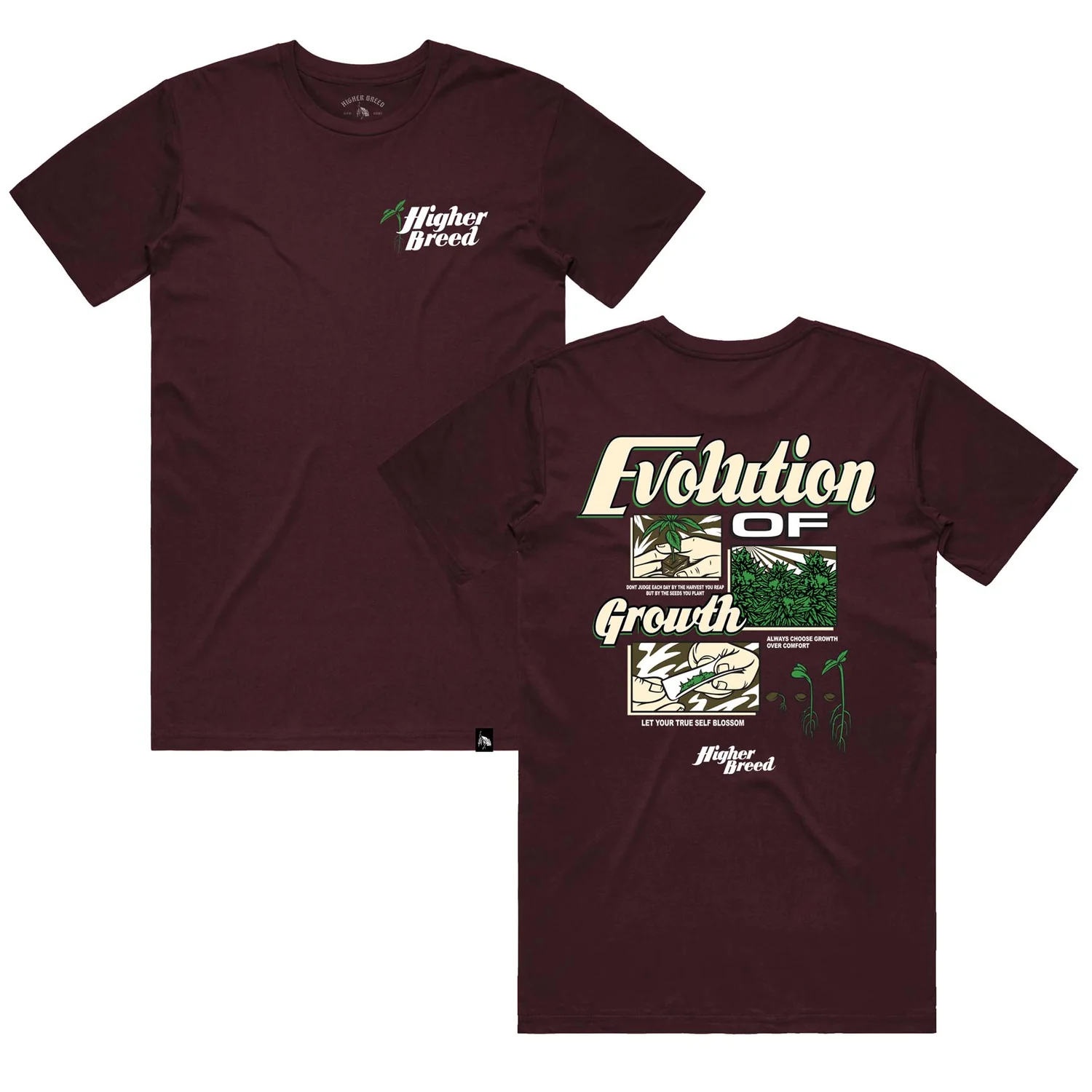 Evolution of Growth Oxblood Higher Breed