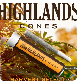 Kush Mintz Highlands