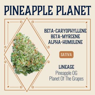 Pineapple Planet Elevate