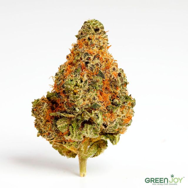 Hight - Purple Starfruit Green Joy Hight - Purple Starfruit Green Joy