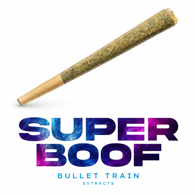 Super Boof Bullet Train