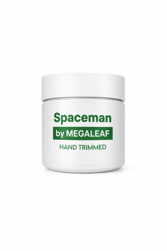 Spaceman Megaleaf Spaceman Megaleaf