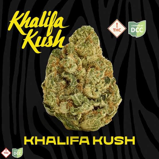 Khalifa Khalifa Kush