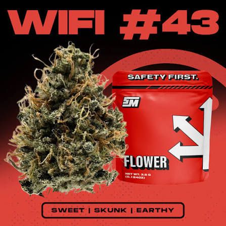Wifi #43 Safety Meeting Wifi #43 Safety Meeting