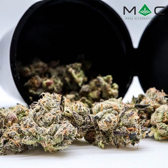 Grape Zorilla Mass Alternative Care (MAC)