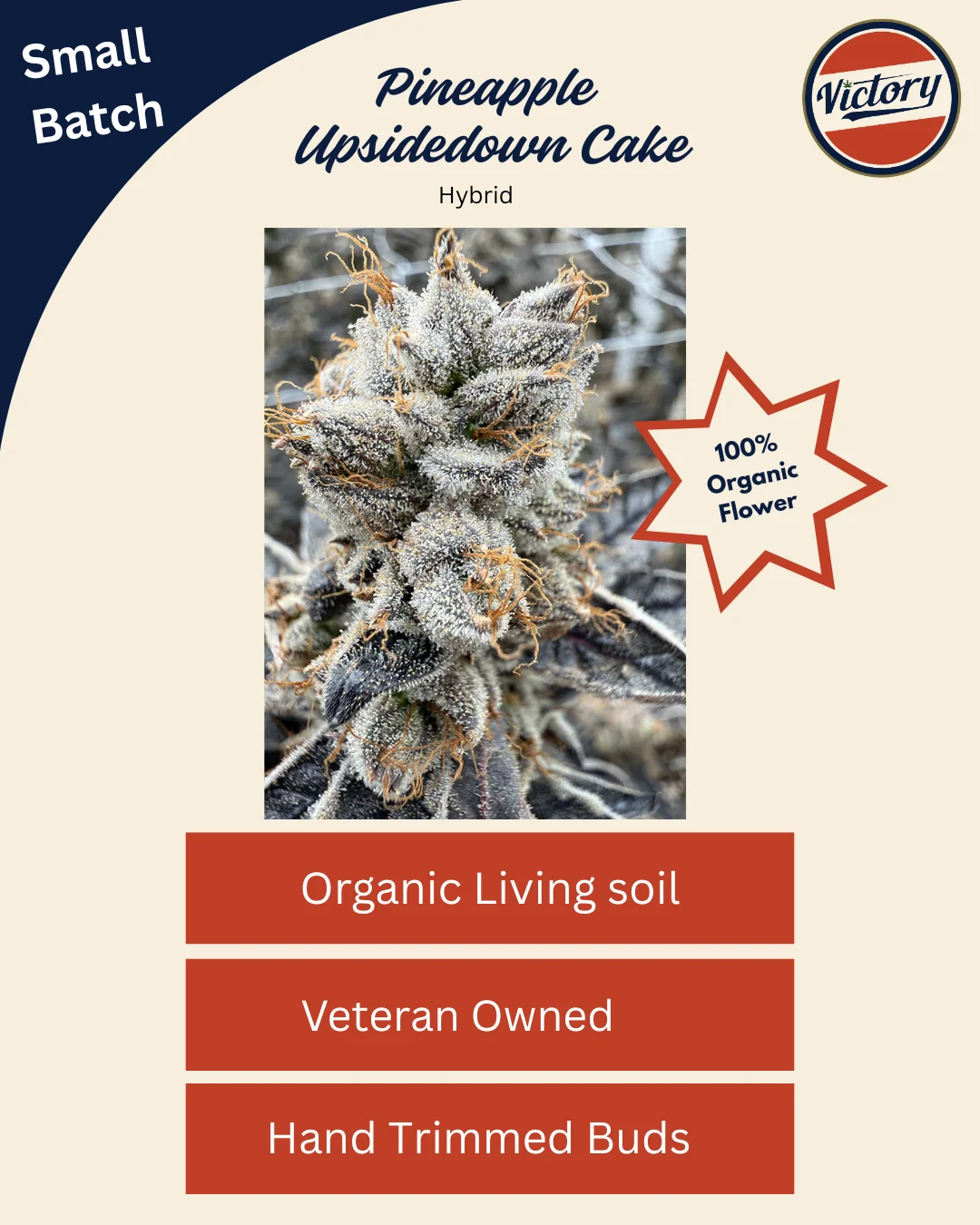 Pineapple Upside Down Cake | Victory Natural Farms