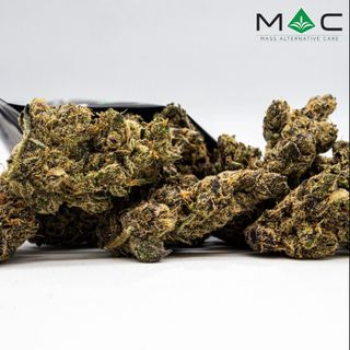 Nor'Cheeser #6 Mass Alternative Care (MAC)