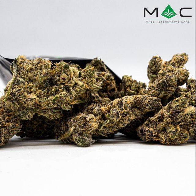Nor'Cheeser #6 Mass Alternative Care (MAC)