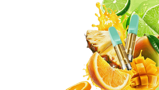 Baja Smash Frutful