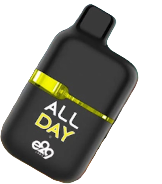 All Day 1g Disposable Mango Haze  E29 Labs