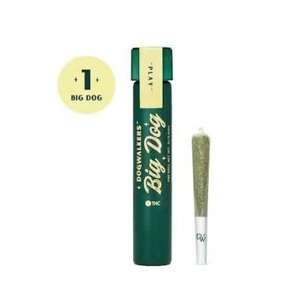 Tangerine Haze Pre-roll Dogwalkers