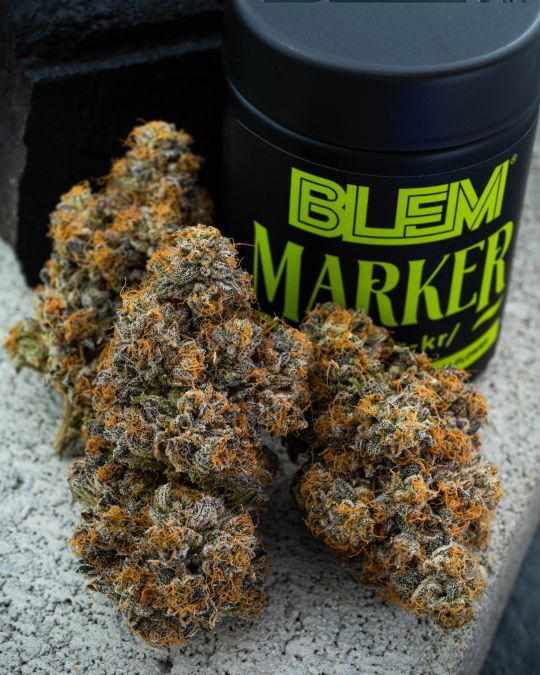 Marker BLEM