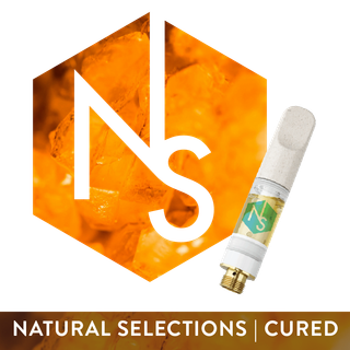 Super Lemon Haze #6 Natural Selections