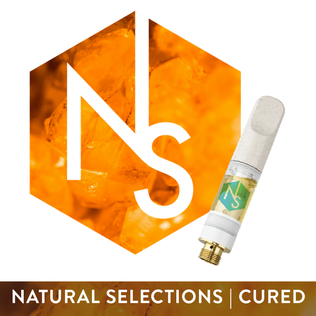 Super Lemon Haze #6 Natural Selections