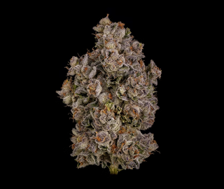 Cherry Rage Hi-Fuel