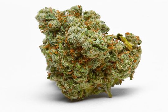 Papaya Juice  RD Industries LLC
