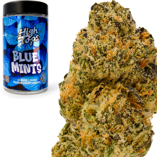 Blue Mints High Tops