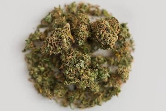 Alpine Alchemy Pharmacanna