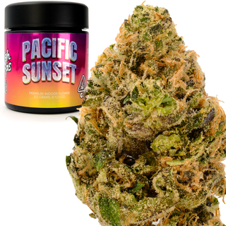 Pacific Sunset High Tops