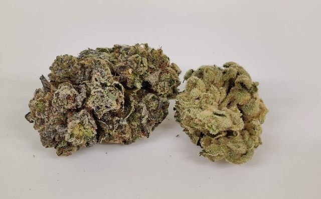 Green Apple Tangie Blossom Flower