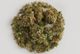 Headband #1 Pharmacanna Headband #1 Pharmacanna