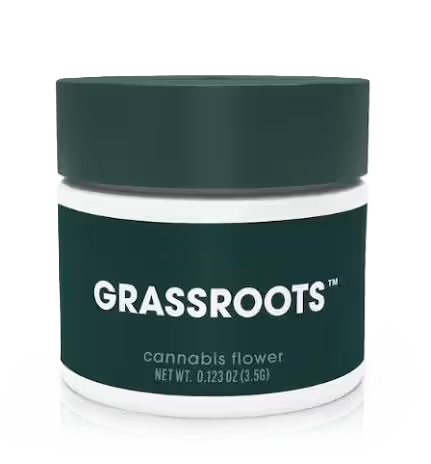 - Wild Garlic Grassroots