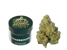 Zesty Garlic Cookies Grassroots Zesty Garlic Cookies Grassroots