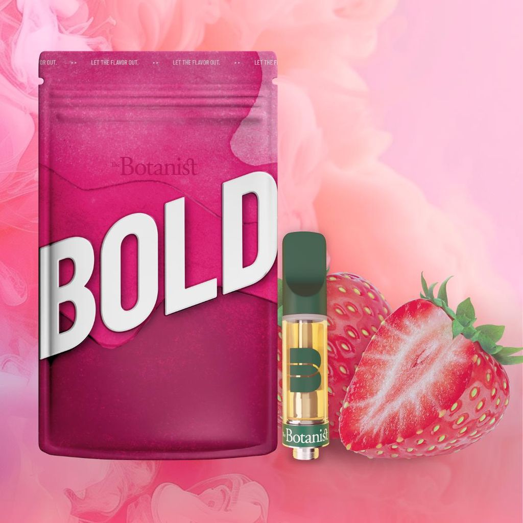 Strawberry Bold