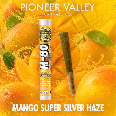 M80 Mango Super Silver Haze Pioneer Valley