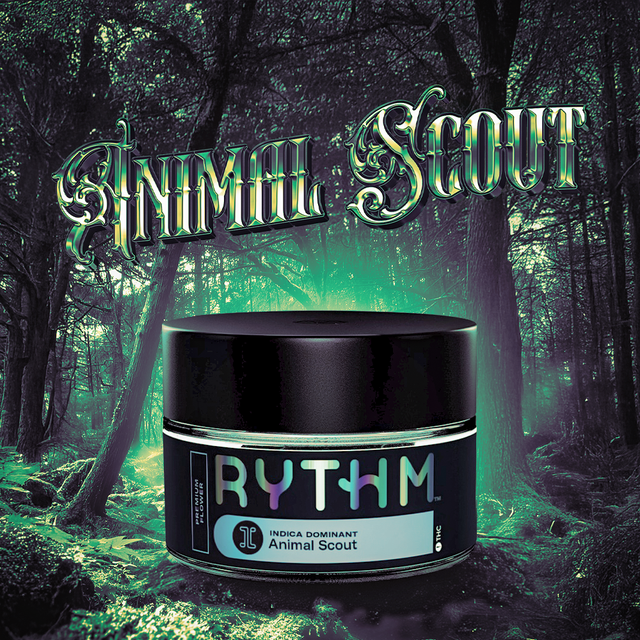 Animal Scout Rythm