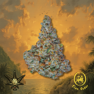 King Clementine (26.7% THC) Lion Order