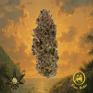 Road Block (21.9% THC) Lion Order