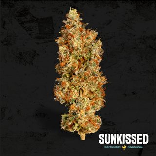 Purple Milk Sunkissed