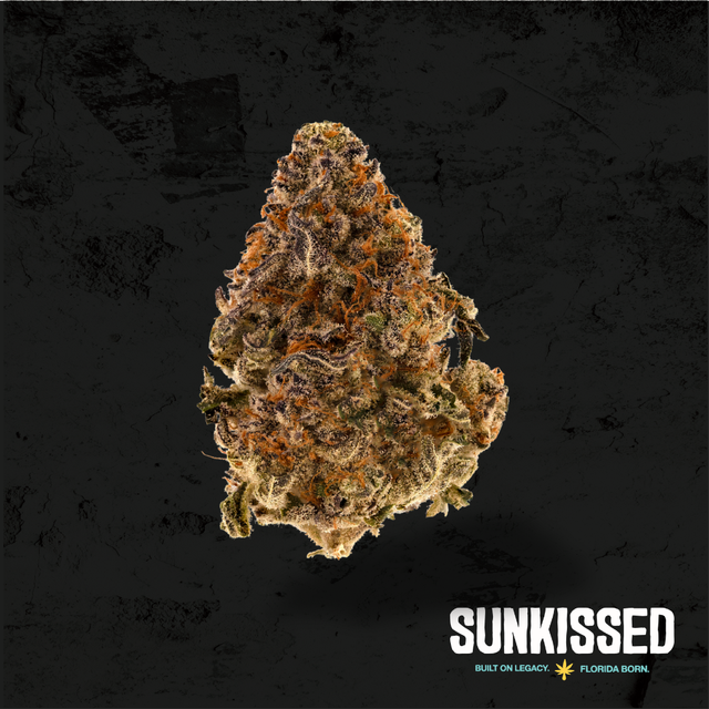 Punch Breath Sunkissed