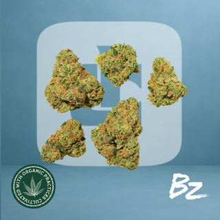 Grape Gas BZ by IDEAL