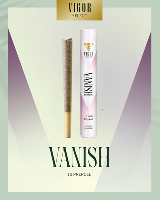 Vanish Vigor Select
