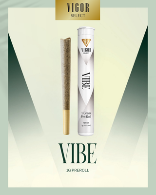 Vibe Vigor Select
