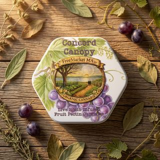  Concord Canopy Grape Live Rosin Fruit Pectin Gummies FreeMarketMA