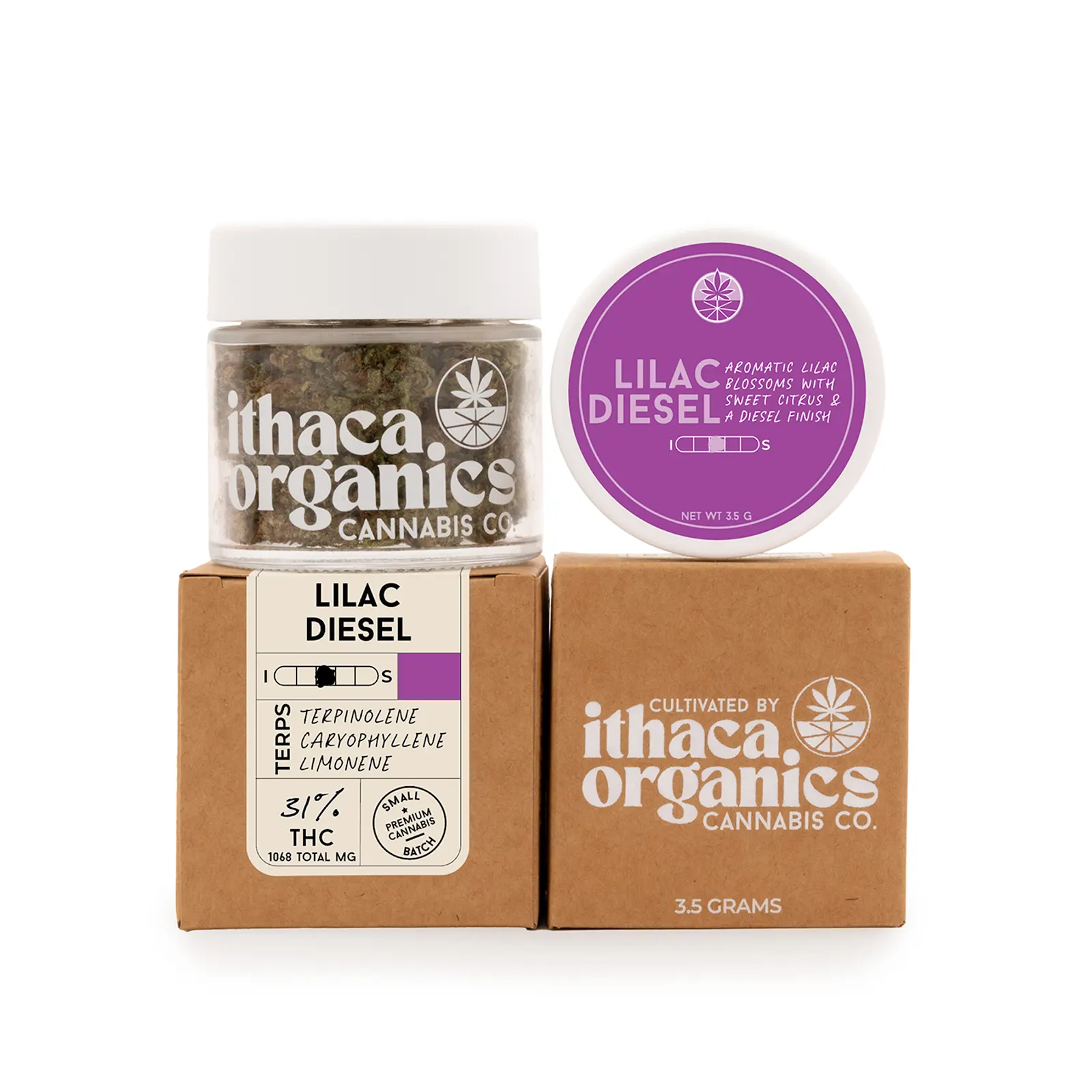 Lilac Diesel Ithaca Organics