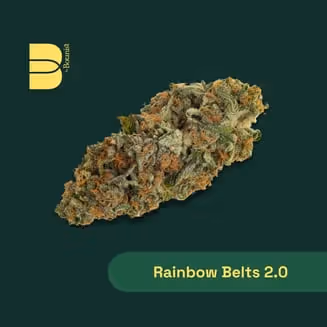 Rainbow Belts 2.0 The Botanist Rainbow Belts 2.0 The Botanist