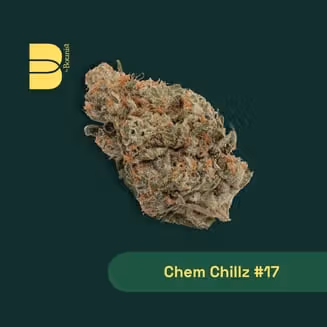 Chem Chillz #17 The Botanist Chem Chillz #17 The Botanist