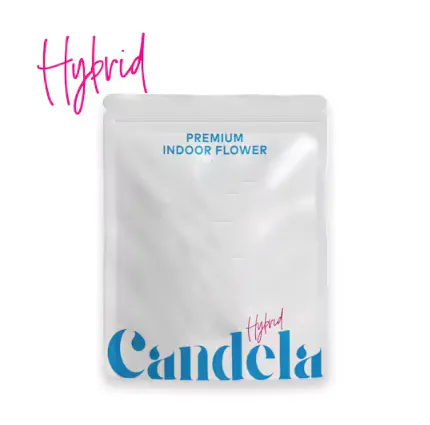 Florida Man Candela