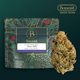 Chem Chillz #17 The Botanist Chem Chillz #17 The Botanist