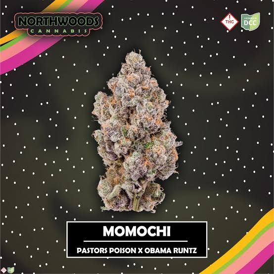 Momochi Northwoods