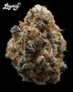 Alien Rock Candy Legacy Alien Rock Candy Legacy