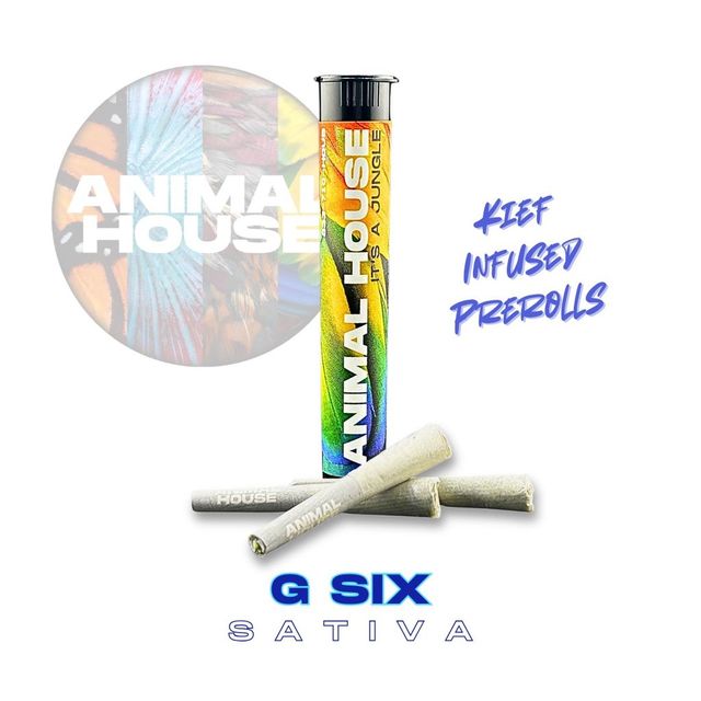 G6 |  Animal House