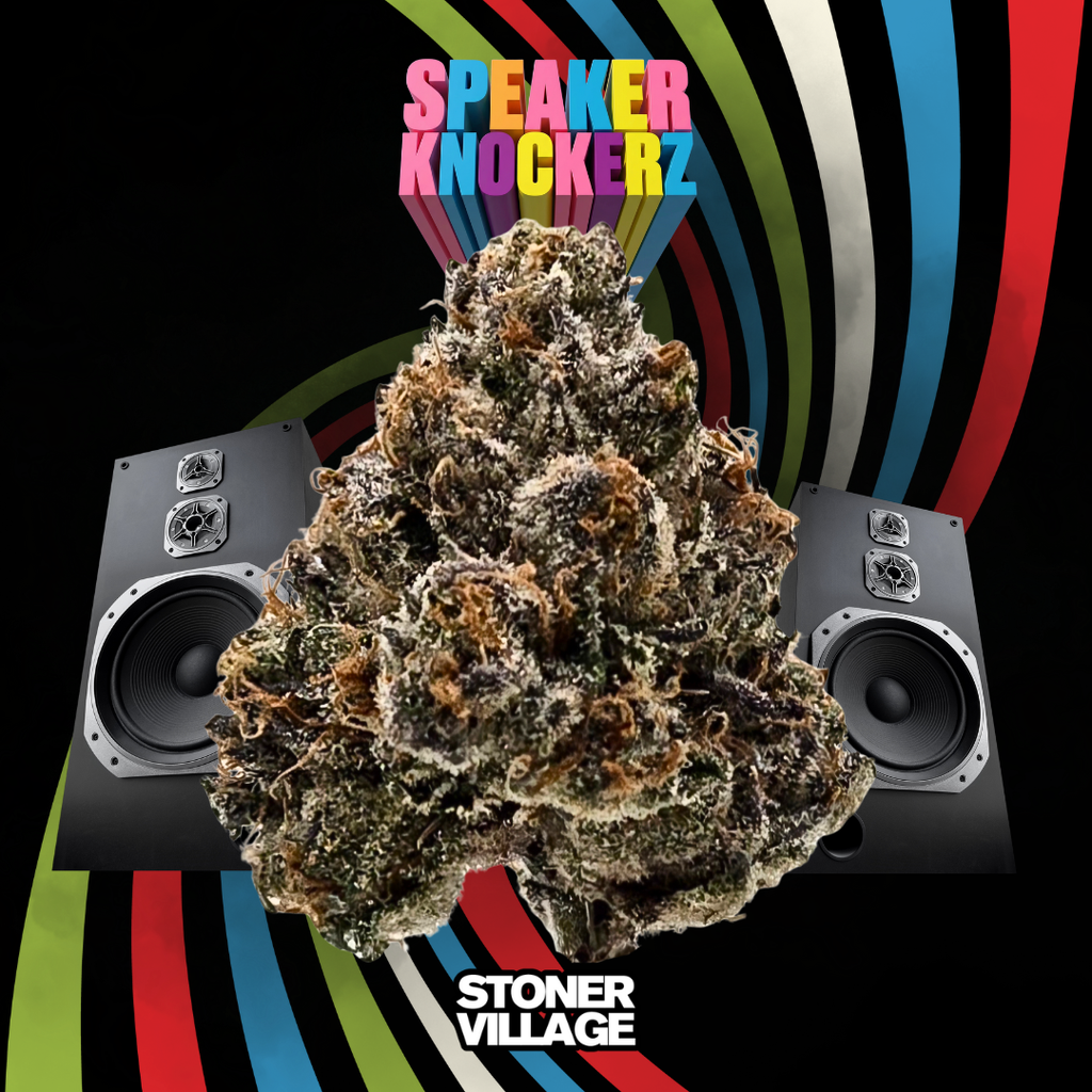 Speaker Knockerz
