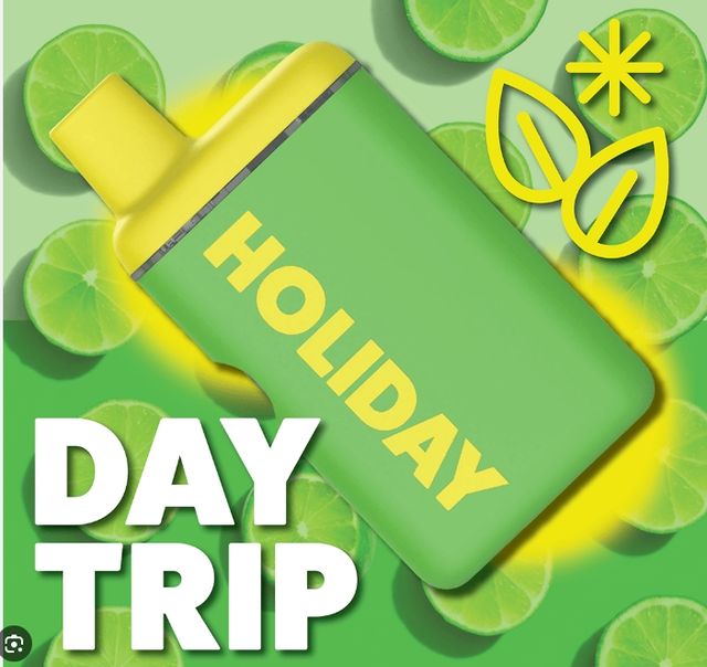 Day Trip holiday