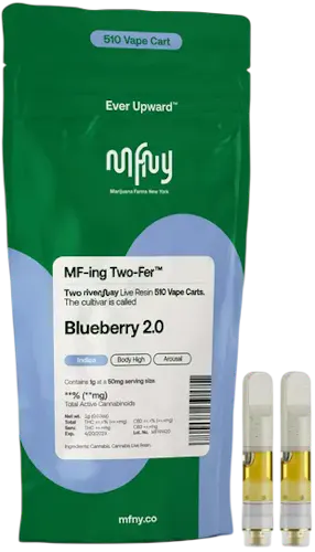 Blueberry 2.0 MFNY