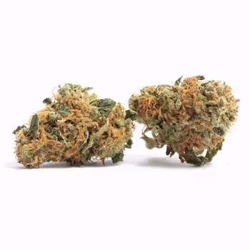 Maui Wowie G2 Maui Wowie G2